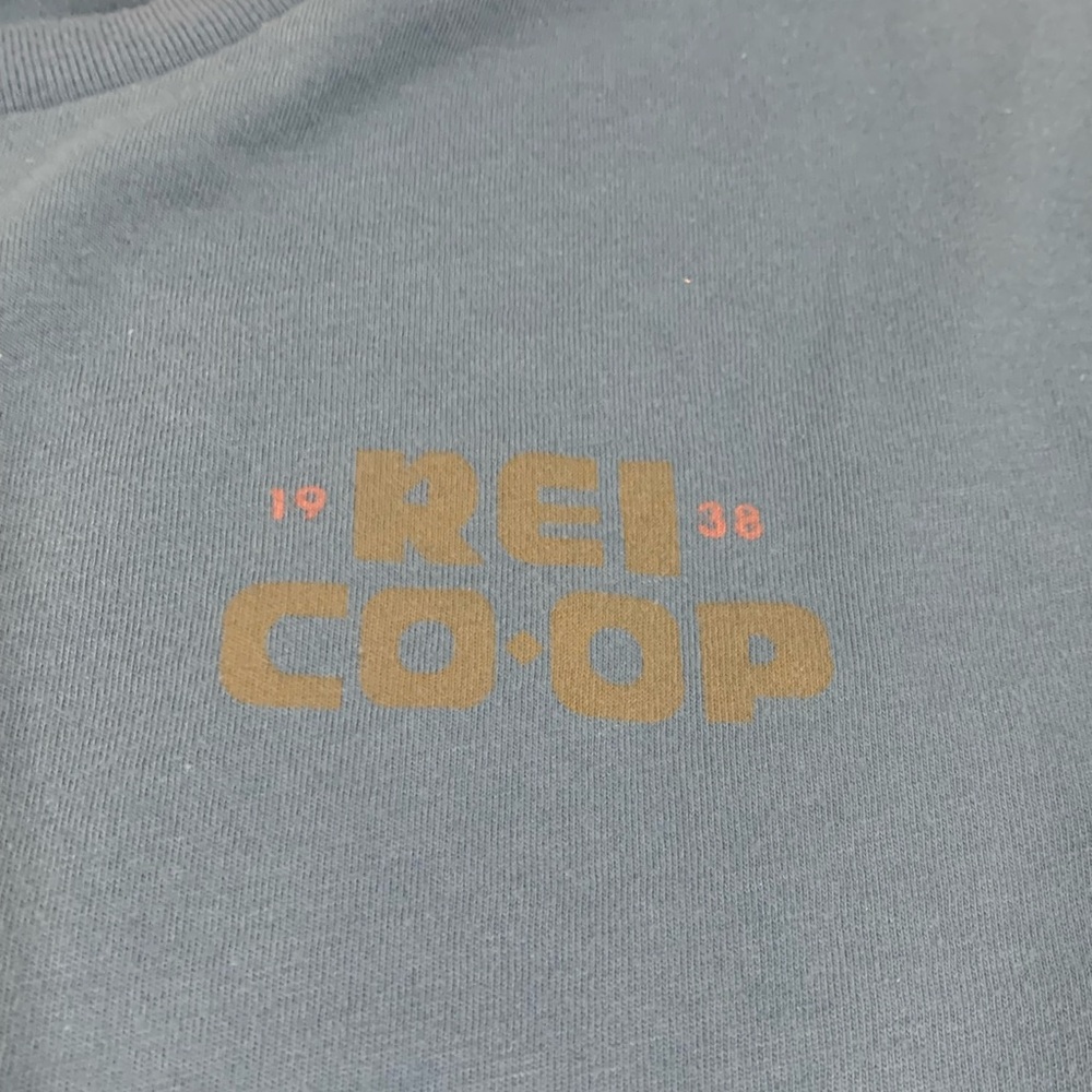REI Gray Short Sleeve Tee